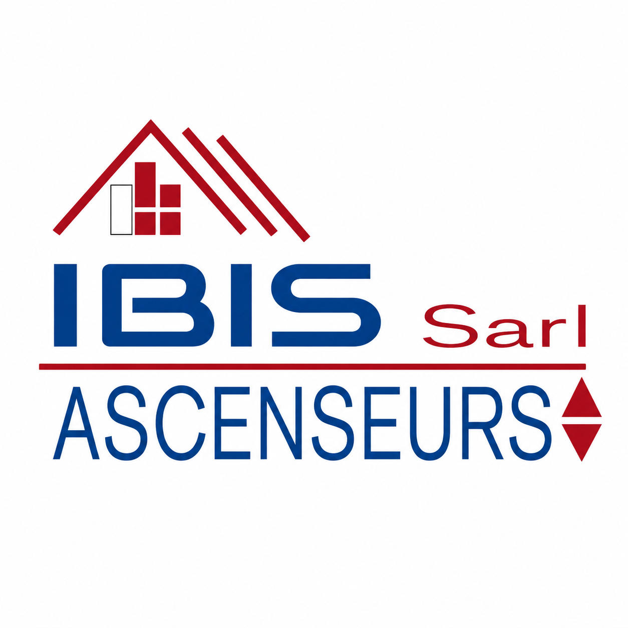 Ibis Ascenseur